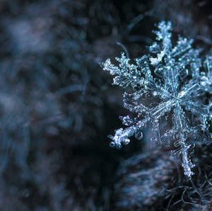 Live-Hörstück: Die Schneekönigin